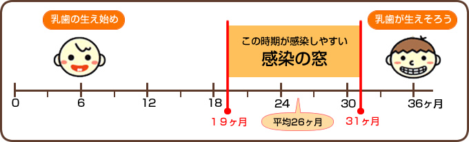 感染の窓